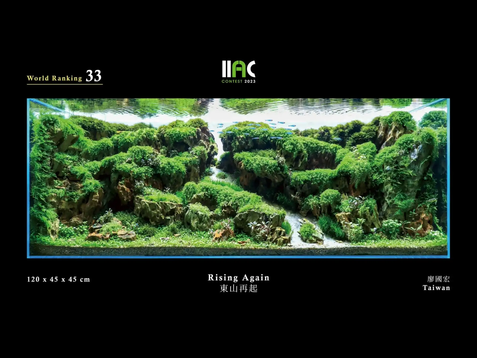 Rising Again - IIAC 2023 #33 Hugo Liao / Taiwan